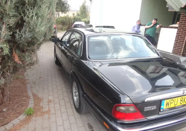 Jaguar XJ cena 21000 przebieg: 258000, rok produkcji 1996 z Pułtusk małe 7